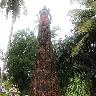 Giant Statues of Maraprabhu and Guruyaur Kesavan